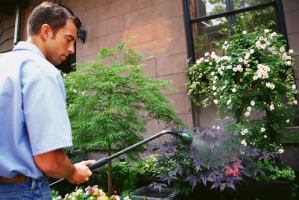 Commercial Landscaping Benefits
