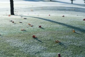 winterize your lawn