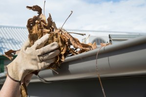 Are your gutters clogged with last season's leaves and debris? Invest in gutter cleaning and replacement before moisture damage ensues. 