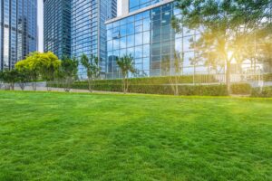 Commercial Landscaping Maintenance Checklist