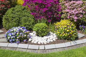 Choosing the Right Mulch for Your Property