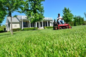 3 Great Benefits of Hiring a Professional Landscaper this Summer!