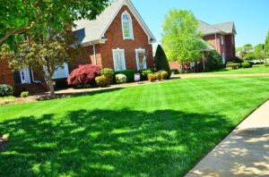 3 Easily Avoidable Lawn Care Mistakes