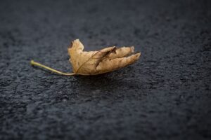 Tips for Caring for Asphalt Surfaces in the Fall