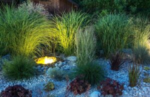 Hardscape Features to Add to Your Landscape