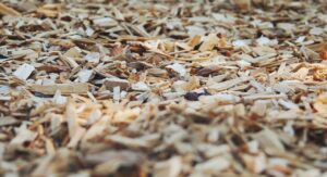 Mulch is essential for keeping your plants and trees healthy, especially in the summer heat! 