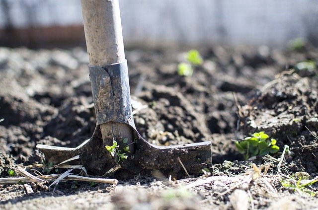 Soil pH: Why Does It Matter? 